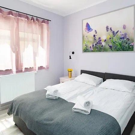 Wonder - Karpatia Tuż Przy Stoku I Blisko Szlaków Turystycznych Apartamento *